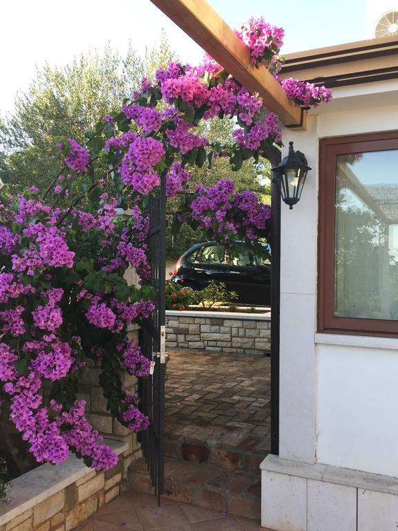 Vera Bed And Breakfast Valizza Zewnętrze zdjęcie